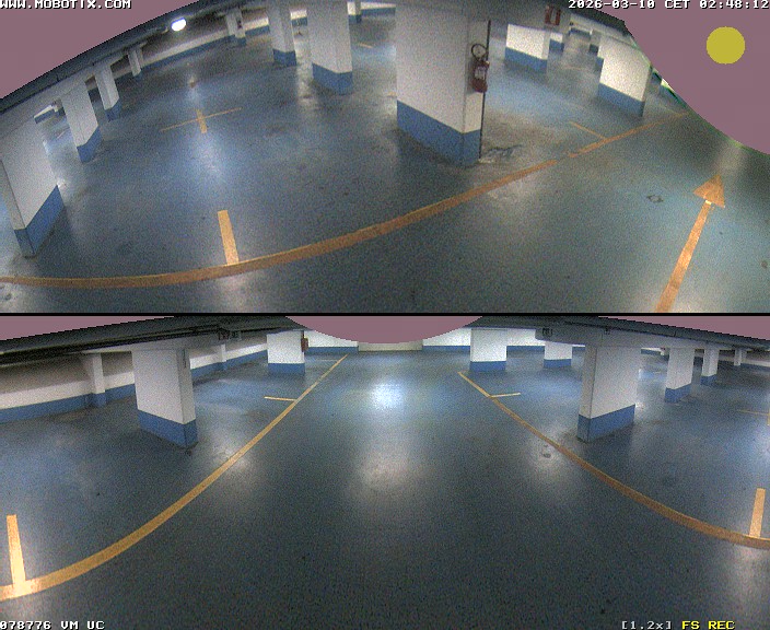 Camera Live Image