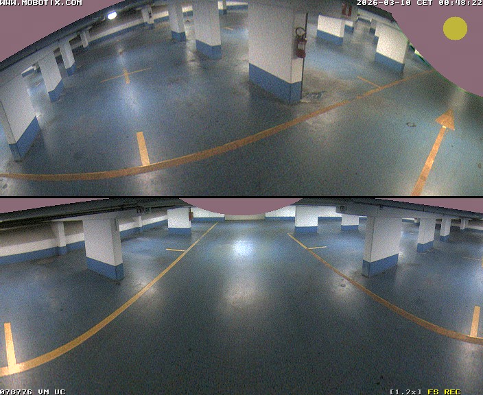 Camera Live Image